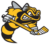 Sarnia Sting